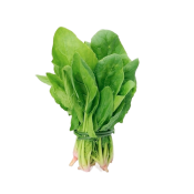 image-veggies